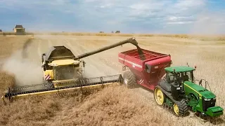 Rapsernte mit New Holland CR 8.90 + CR9080 + John Deere 8370RT | Canola Harvest