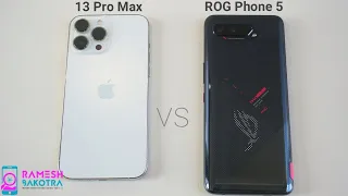 Apple iPhone 13 Pro Max vs ROG Phone 5 Speed Test and Camera Comparison