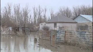 Дачные участки подтопило в Актобе: жителей эвакуируют