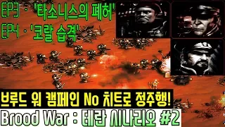 [리마스터 : Brood War 캠페인] 돌이킬 수 없는 선택을 한 홍구.. 테란 #2 [EP 3~4] // '타소니스의 폐허' '코랄 습격' [홍구]