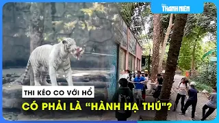 Khách thi kéo co với hổ bị nhận xét 'hành hạ thú': Thảo Cầm Viên Sài Gòn lên tiếng