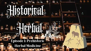 Prehistoric Herbal Medicine | Historical Herbal