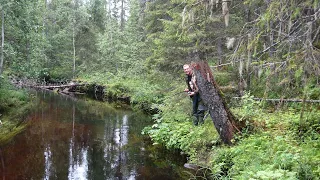 Калевала и окрестные речки да ручьи