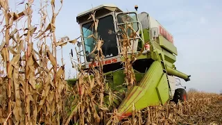 Claas Commandor 114 CS – rekordzista ciągle w akcji. Zbiór kukurydzy 2017