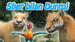 Sher bilan Durroj 3d Multfilm | O`zbekcha multfilm