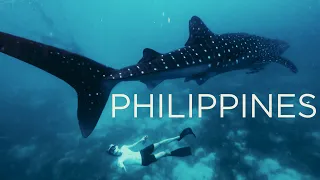 Diving the Philippines- Thresher Sharks and Shipwrecks
