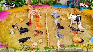 Learn Farm Animals Wild Animals for Kids in this Fun Learning Videos for Toddlers