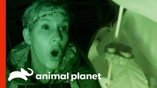 Bigfoot Expedition Gets Interrupted By Venomous Snake | Finding Bigfoot
