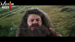 Harry Puttar 720p