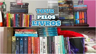 tour pelos meus livros - bookshelf tour 2021