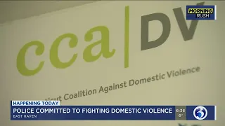 VIDEO: Resources available for domestic violence victims