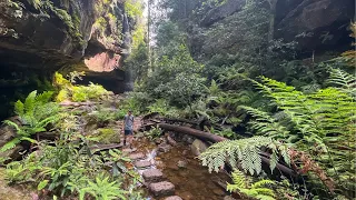 The Grand Canyon Hike, Blue Mountains NSW Australia - The ultimate bucket list Blue Mountains hike!