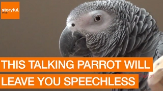 Talking Parrot Will Leave You Speechless