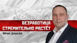 Юрий Дашков: Безработица стремительно растёт