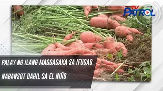 Palay ng ilang magsasaka sa Ifugao nabansot dahil sa El Niño | TV Patrol