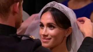 Shrek Crashes The Royal Wedding