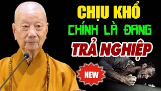 CHỊU KHỔ là đang trả cho hết Nghiệp - Thầy Thích Trí Quảng (hay quá)