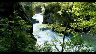 Soothing 4k Forest Stream. Relaxing River Sounds - No Birds. 10 Hours 4K, White Noise for Sleeping.
