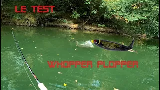 Silure au WHOPPER PLOPPER ! Test validé !