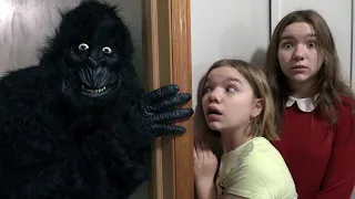 GORILLA IN OUR HOUSE.