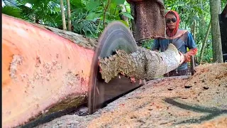 Chopping teak and mahogany wood - Assembled serkel saw