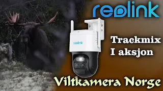 VILTKAMERA I AKSJON | Reolink Trackmix 4G LTE