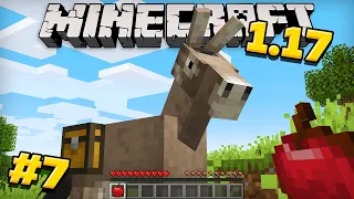 Майнкрафт 1.17 Выживание без модов! Как приручить осла в minecraft! #7