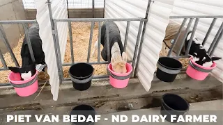 Feeding Dairy Calves (30)