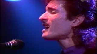 Willy DeVille Mink DeVille ~ Full Concert Live 1981@ Rockpalast in Essen, Germany