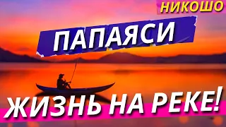 Папаяси: Жизнь На Реке! / Полная Аудиокнига Nikosho