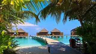 5 best of maldives- World and Its Beauties