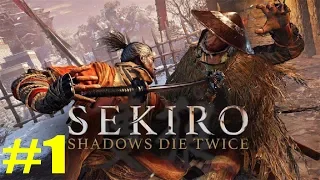 Sekiro Shadows Die Twice прохождение часть 1 найти потайной проход первый взгляд