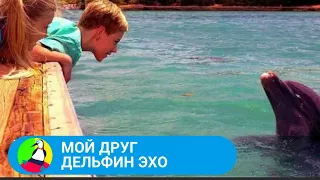 🏝 ДОБРЫЙ ПОУЧИТЕЛЬНЫЙ ФИЛЬМ ДЛЯ ВСЕЙ СЕМЬИ 🏝  Мой друг дельфин Эхо🐾 Фильм в HD. STARMEDIAKIDS