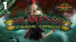 THE PIRATE QUEEN SETS SAIL! Total War: Warhammer 2 - Mortal Empires Campaign - Aranessa Saltspite #1