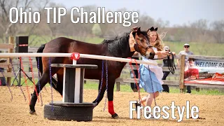 Ohio TIP Challenge 2021 – Freestyle