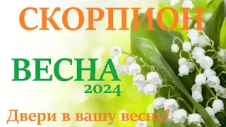 СКОРПИОН ♏ ВЕСНА 2024🌞 таро прогноз/гороскоп на март 2024/ апрель 2024/ май 2024/ расклад “Двери”