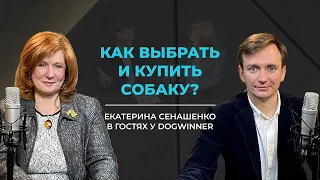 Как выбрать и купить собаку? Екатерина Сенашенко в гостях у DogWinner