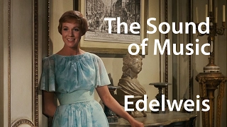 Christopher Plummer - Edelweiss - The Sound of Music (1965)
