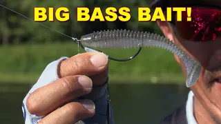 Paddle Tail Swimbaits for Spring Bass with Shin Fukae | Bass Fishing