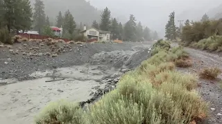 'That Is Crazy': Locals Watch as Mudflow Surges Through California Canyon -- Storyful