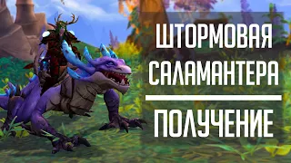 ШТОРМОВАЯ САЛАМАНТЕРА - гайд по получению маунта за Бурю Стихий в Dragonflight!