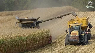 XXL Corn Harvest | CR 9.90 - MT 875C - Quadtrac 620 | Pure Sound