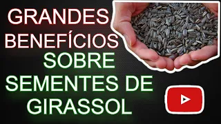 8 VANTAGENS DE CONSUMIR SEMENTE DE GIRASSOL,DESCUBRA OS MILAGRES QUE ELA FAZ#emagrecer #saude