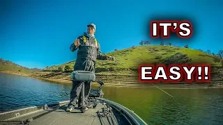 Where Do Bass Go In Early Spring?