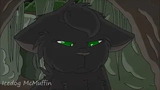 warrior cats animash~kill this love (bluestar/squirrelflight/hollyleaf/ivypool)