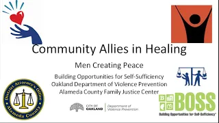 Community Allies in Healing Intimate Partner Violence