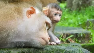 Good Mother Care Well Baby