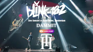 BLINK 182 - DAMMIT (LIVE CONCERT AT ZIGGO DOME) | THE HARITAMAS | MUSIC VIDEO