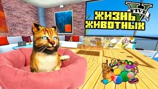 ЖИЗНЬ ЖИВОТНЫХ В ГТА 5 МОДЫ! КОТ НАШЁЛ НОВЫЙ ДОМ И ХОЗЯИНА! ОБЗОР МОДА В GTA 5 MODS ВИДЕО ИГРЫ