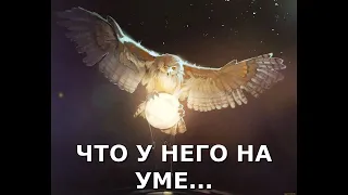 ОТПАД! 🫠НУ И МЫСЛИ ЖЕ У НЕГО О ТЕБЕ В ДАННУЮ МИНУТУ                     ТАРО РАСКЛАД 🙌⚡⚡